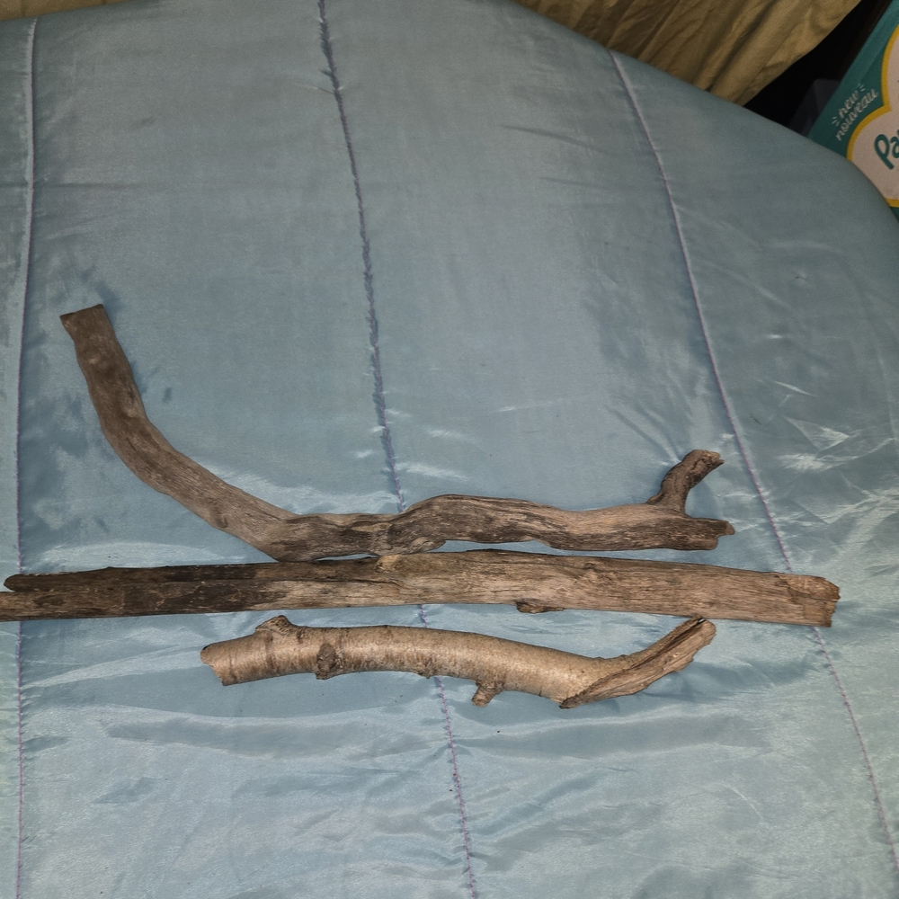 Lake Cured Drift Wood Sticks 1"-1 1/2 Wide Diy Outdoors Crafts Nature Rugged